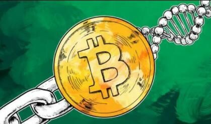 执行资产保护策略时，Trust Wallet官网下载的钱包所提供的优势！_银联钱包下载官网_盛钱包官网下载