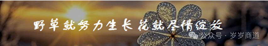 从电信局经历到网易传奇：剖析丁磊凭借数字力量的创业路