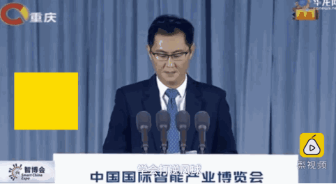 丁磊的商业智慧与市场洞察_丁磊购物平台_丁磊电商