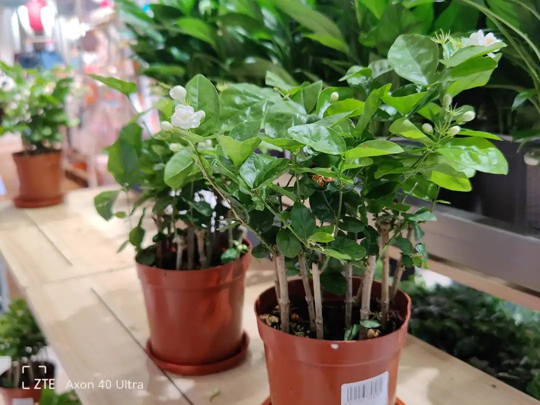 深度解析中兴的快充技术与应用场景_深度解析中兴的快充技术与应用场景_深度解析中兴的快充技术与应用场景