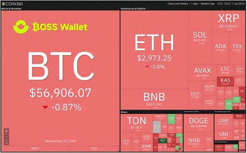 Trust Wallet最新版本亮点：助力投资者管理资产与决策