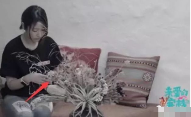 快乐大本营赵薇林心如_林心如严宽_林心如