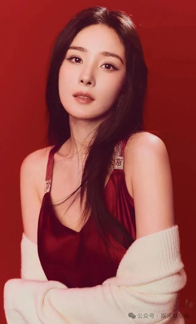杨幂公关成功案例_杨幂公益活动_杨幂的社交活动与公众形象