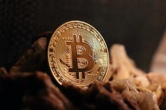 Lingoace虚拟货币价格分析：市场供需与投资者情绪如何影响其价值